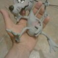 Ratoncito 1